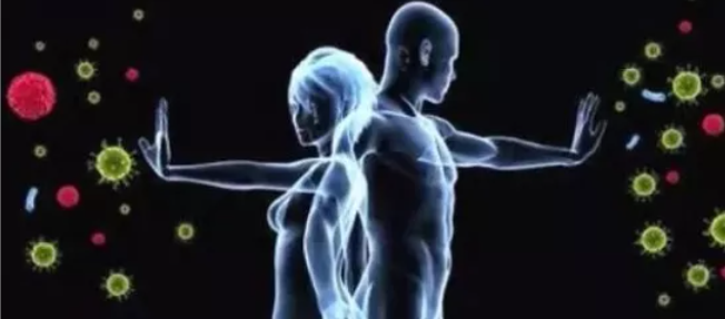 銀川伊百盛生物工程有限公司 銀川伊百盛生物工程有限公司