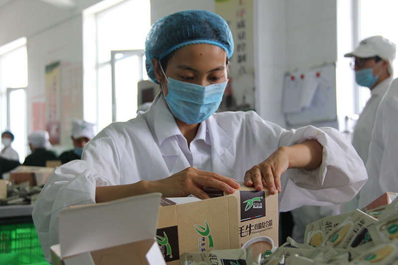 銀川伊百盛生物工程有限公司 銀川伊百盛生物工程有限公司