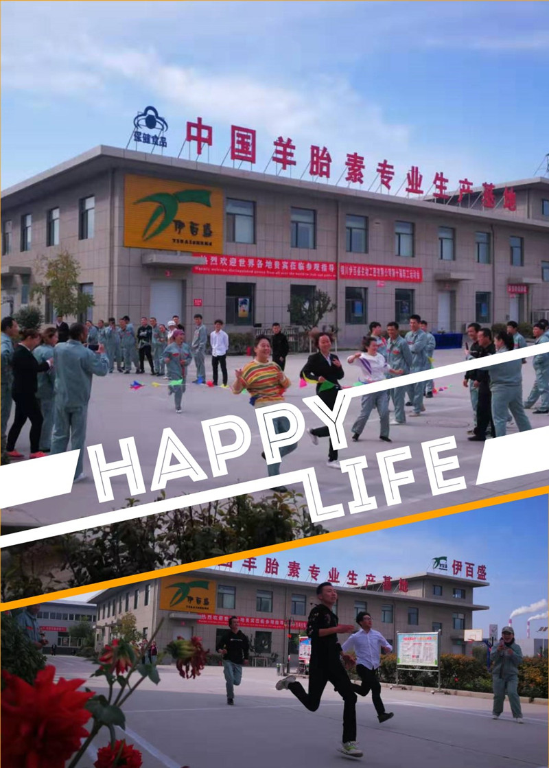 銀川伊百盛生物工程有限公司 銀川伊百盛生物工程有限公司