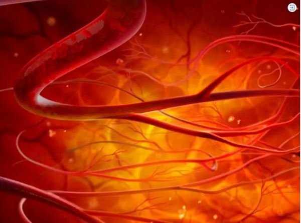 銀川伊百盛生物工程有限公司 銀川伊百盛生物工程有限公司