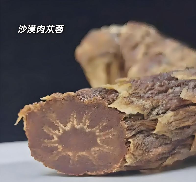 銀川伊百盛生物工程有限公司 銀川伊百盛生物工程有限公司