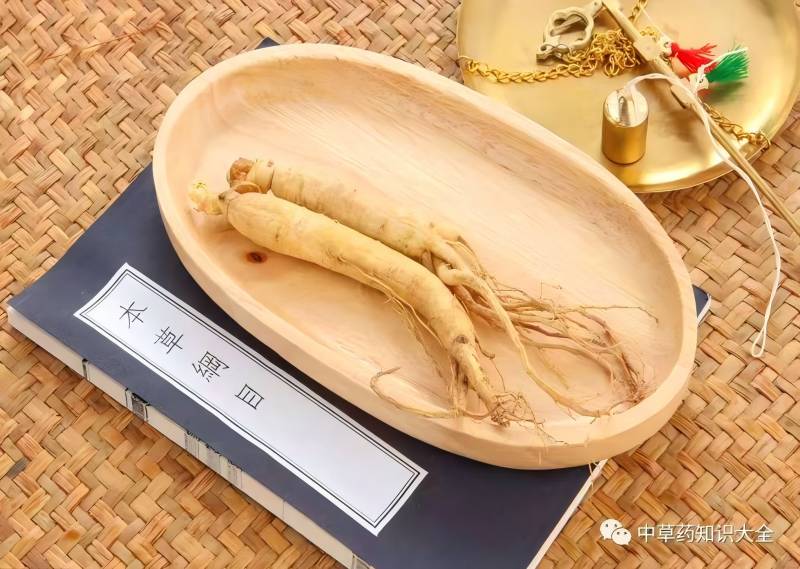 銀川伊百盛生物工程有限公司 銀川伊百盛生物工程有限公司