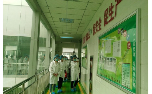 值公司成立十周年慶典，公司贊助萬名老人免費游寧夏系列活動