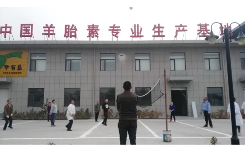 排球傳溫情，員工齊聚心