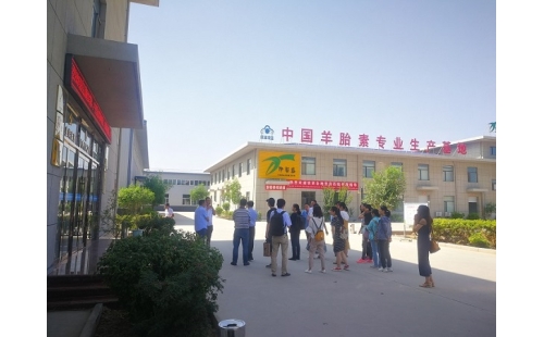 江南大學(xué)、寧夏大學(xué)課題組專家蒞臨伊百盛調(diào)研交流