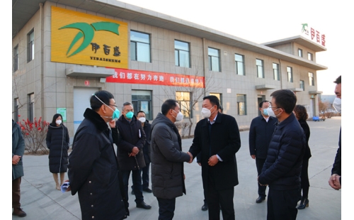 銀川市金鳳區(qū)委書記郝春明、區(qū)長張濤一行蒞臨銀川伊百盛參觀調(diào)研