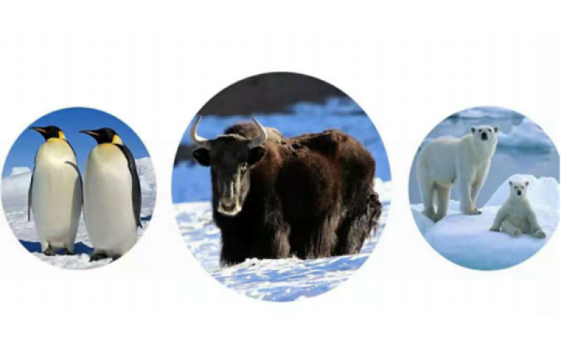 牦?！咴?>
								</div>
															
							<div   id=